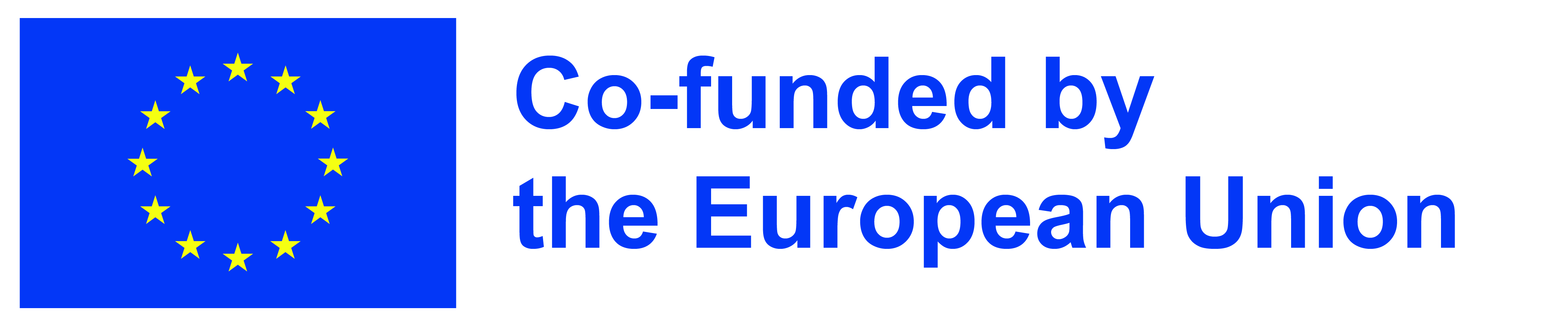 EU flag showing that the study is co-funded by EU