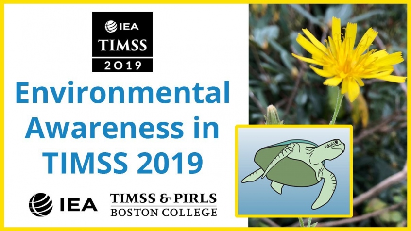 Environmental Awareness in TIMSS 2019 