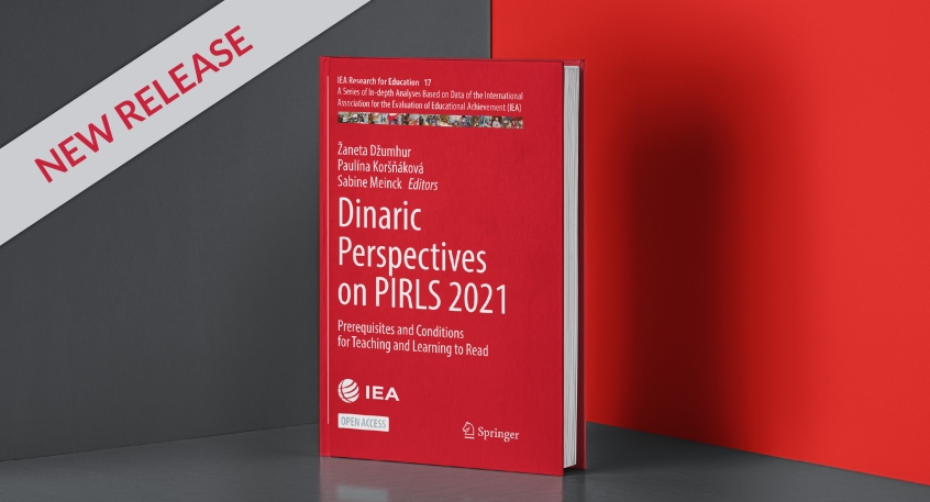 Vol. 17 with a red cover on a plain gray background