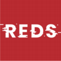 Studies IEA REDS